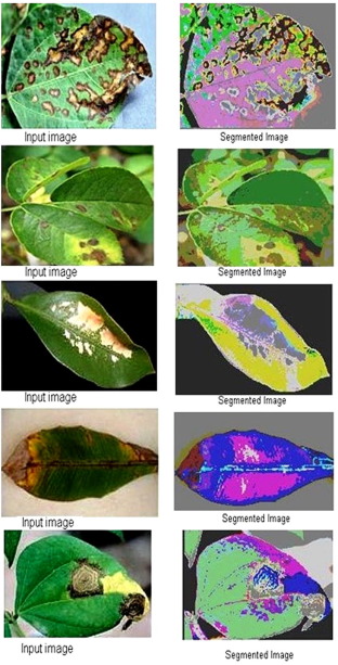 scope of the project for plant disease detection.